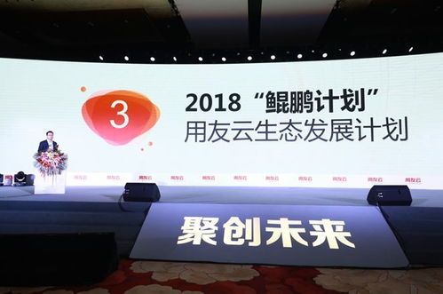 聚创未来 2018用友生态伙伴大会在京举行，共话网络技术服务新篇章